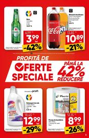 Catalog PROFI Pagină 5