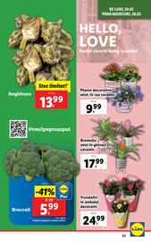 Catalog Lidl săptămâna 9 Pagină 3