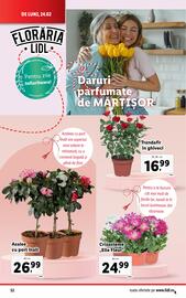 Catalog Lidl săptămâna 9 Pagină 52