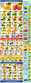 Fiesta Mart Weekly Ad week 8 Page 4