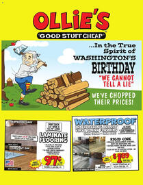 Ollie's Weekly Ad Page 1