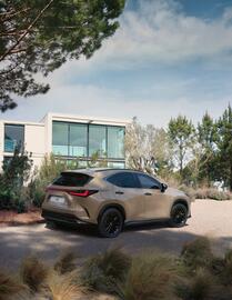 Folheto Lexus | NX Página 32