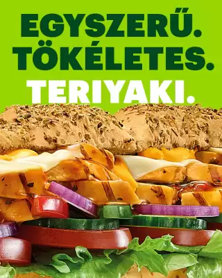 Subway akciós újság (érvényes eddig: 3-03)