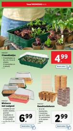 Lidl folder | Tuin Pagina 19