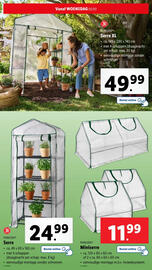 Lidl folder | Tuin Pagina 20