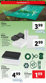 Lidl folder | Tuin Pagina 21