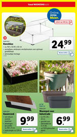 Lidl folder | Tuin Pagina 24