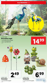 Lidl folder | Tuin Pagina 30