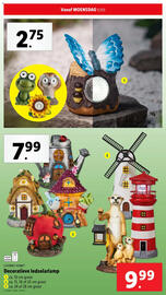 Lidl folder | Tuin Pagina 31