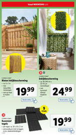 Lidl folder | Tuin Pagina 32