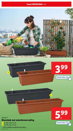 Lidl folder | Tuin Pagina 33