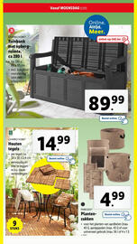 Lidl folder | Tuin Pagina 38