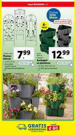 Lidl folder | Tuin Pagina 39