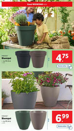 Lidl folder | Tuin Pagina 43