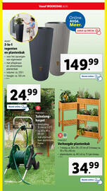 Lidl folder | Tuin Pagina 54