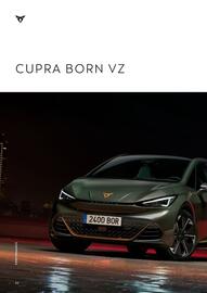 Volantino Cupra Pagina 22