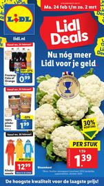 Lidl folder week 9 Pagina 1