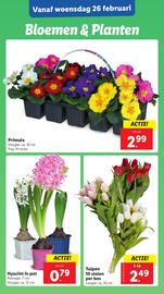 Lidl folder week 9 Pagina 21