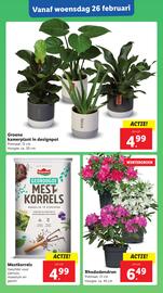 Lidl folder week 9 Pagina 22