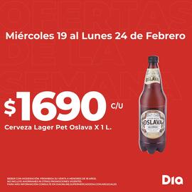 Catálogo Supermercados DIA semana 8 Página 2