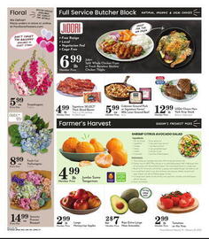 Pavilions Weekly Ad week 8 Page 2