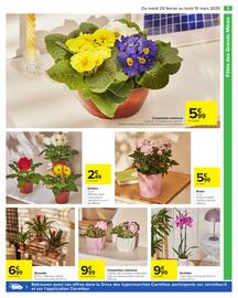 Catalogue Carrefour page 5