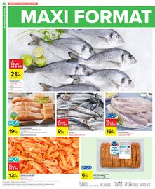 Catalogue Carrefour | MAXI FORMAT page 22