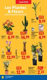 Catalogue Lidl semaine 9 page 30