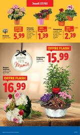 Catalogue Lidl semaine 9 page 31