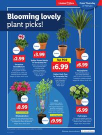 Lidl leaflet week 9 Page 11