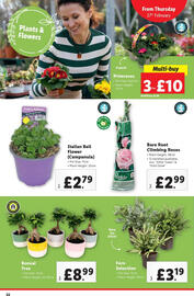 Lidl leaflet week 9 Page 22