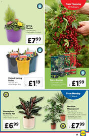 Lidl leaflet week 9 Page 23