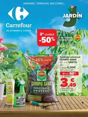 Folleto Carrefour (válido hasta el 13-03)