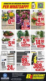 B1 Discount Baumarkt Prospekt woche 8 Seite 8