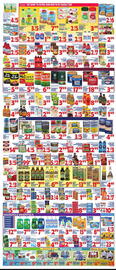 Bravo Supermarkets Weekly Ad week 8 Page 2