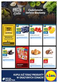 Lidl gazetka Strona 4