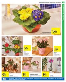 Catalogue Carrefour Drive page 5