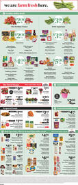 ShopRite Weekly Ad week 9 Page 9