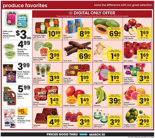 ACME Weekly Ad Page 5