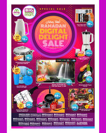 Bigmart catalogue Page 2