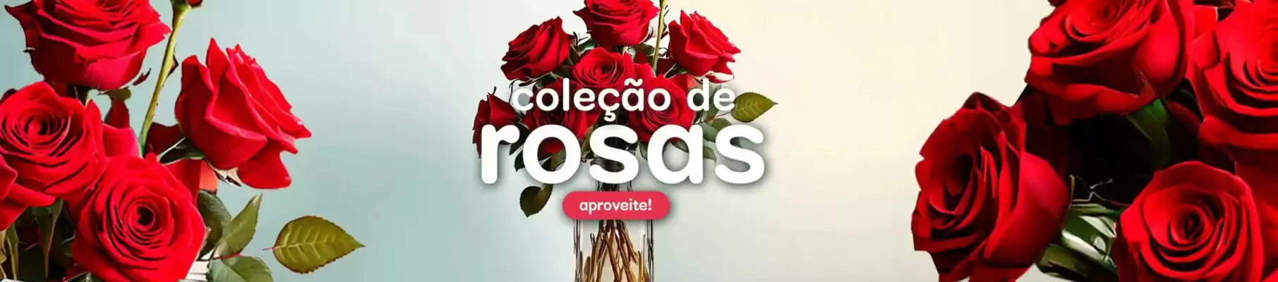 Catálogo Nova Flor (válido até 21-03)