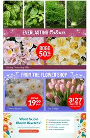 Lakeside Garden Gallery flyer week 8 Page 2