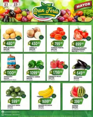 Catálogo Supermercados Mayor (válido hasta 25-02)