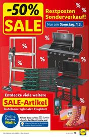 Lidl Flugblatt woche 9 Seite 22