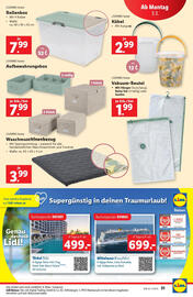 Lidl Flugblatt woche 9 Seite 33