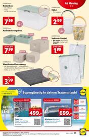 Lidl Flugblatt woche 9 Seite 34