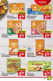 Lidl Flugblatt woche 9 Seite 38