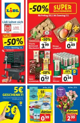 Lidl Flugblatt (gültig bis 5-03)