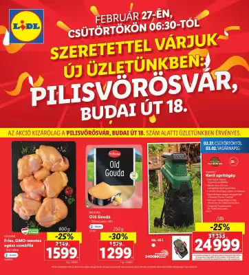 Lidl akciós újság (érvényes eddig: 2-03)