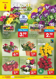 Netto Marken-Discount Prospekt woche 9 Seite 42